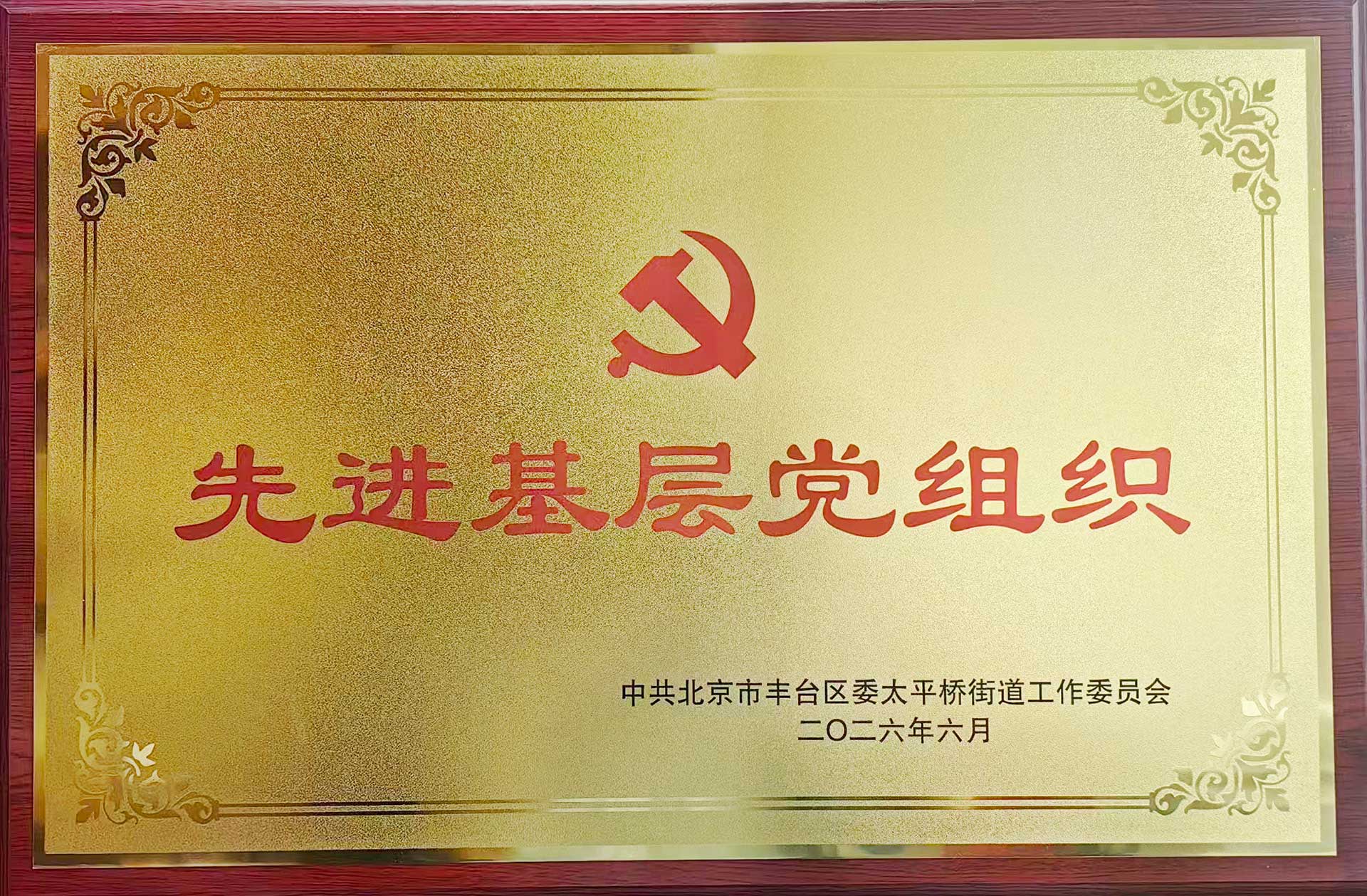 喜报｜党建引领践初心 载誉前行庆华诞——乐鱼注册大厅-乐鱼（中国）一站式服务平台招标集团党支部获评辖区“优秀基层党组织”